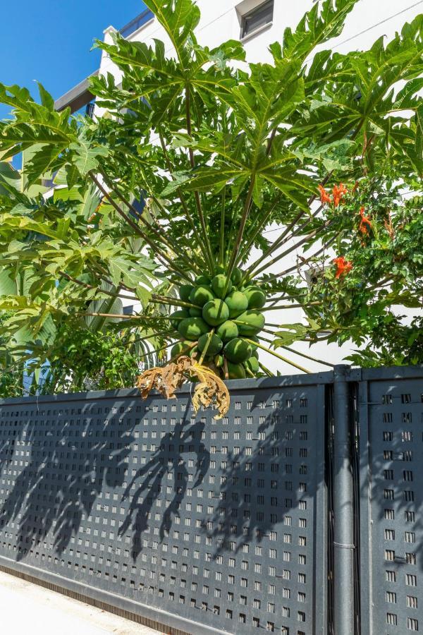 Medano4You The Strelitzia Terrace Ель-Медано Екстер'єр фото